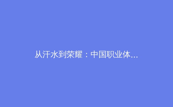 从汗水到荣耀：中国职业体育的商业化转型与价值重构 - 3